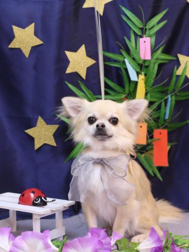 20230722とわくん